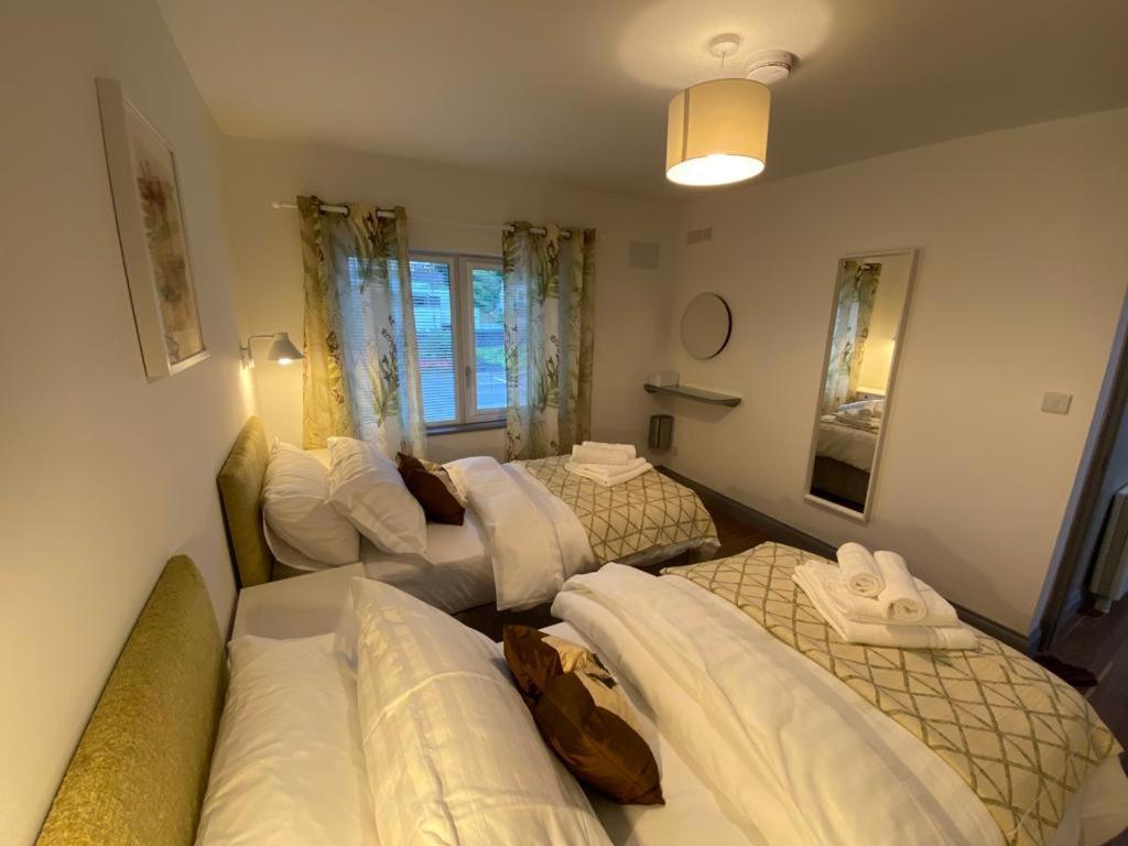 Location Location - Gorgeous 3 Bed Apartment In Killarney Dış mekan fotoğraf